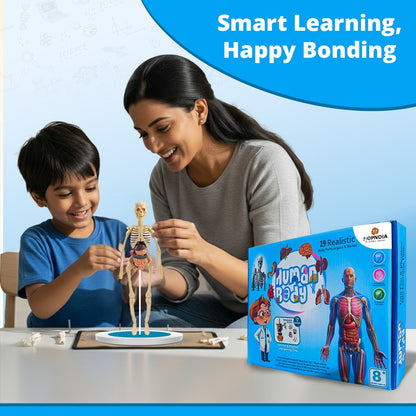 3D Human Body Structure Model for Kids